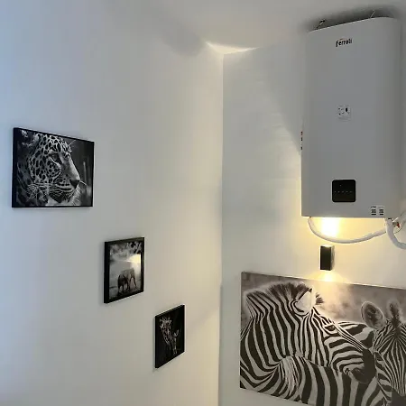 Prachtig Gemoderniseerde Woning Op 250 Meter Het